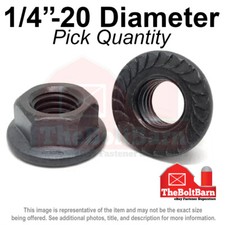 1/4"-20 Grade 8 Serrated Flange Whiz Lock Nuts Coarse Plain & Oil (Pick Qty)