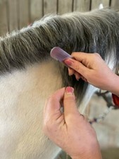 Smart Grooming Pro Tagliabordi diradamento/livellamento - Riordino coda di criniera di cavallo