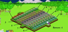 Webkinz flowers choose 9 (read first)
