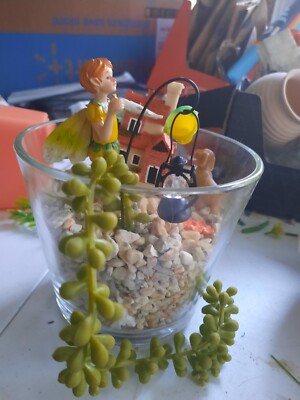 Fairy Garden Complete Kit