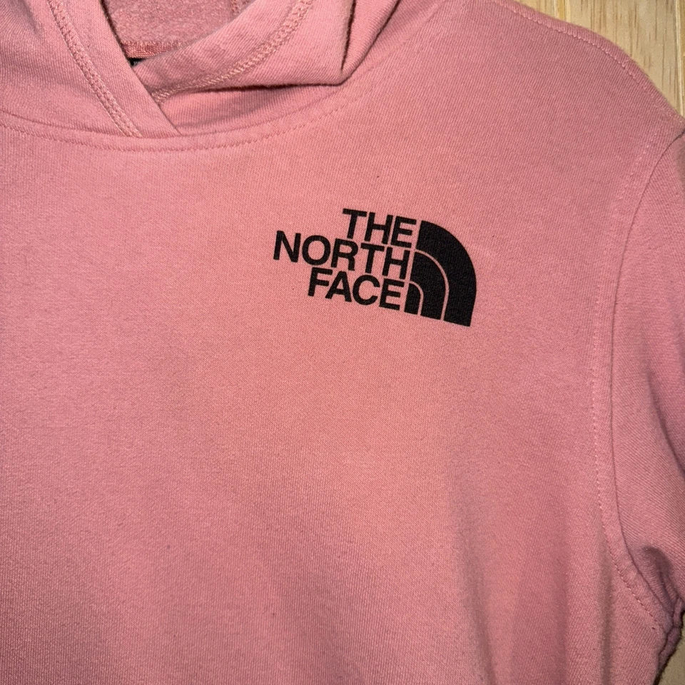 Sudadera The North Face Rosa Juvenil Grande 14/16 Exterior Pullover Sudadera con Capucha Foto 3 de 4