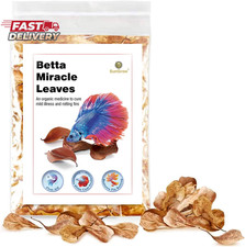 Sungrow 50 Pcs Catappa Indian Almond Leaves for Betta Fish Tank Aquarium, 2  Wat