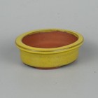 Picture 8 of 24