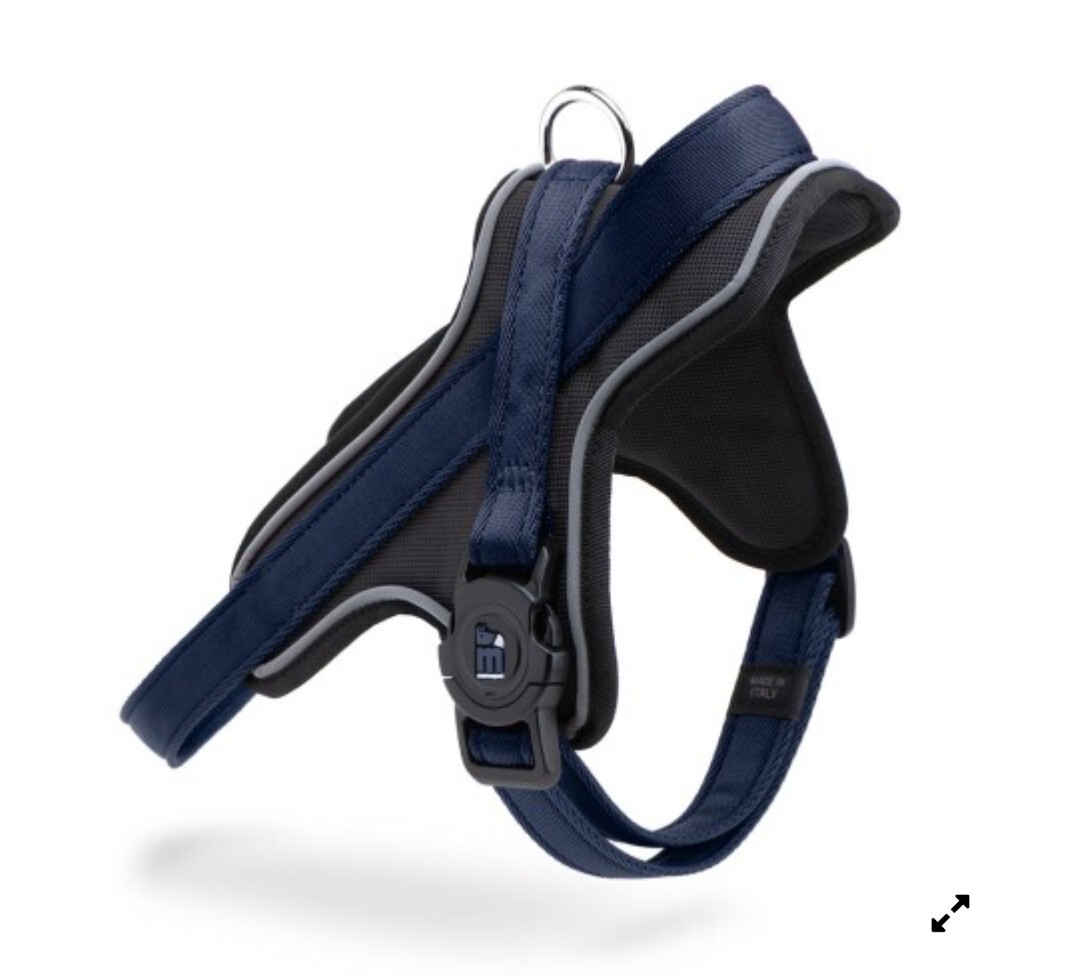 Pettorina cane MyFamily Y memopet S Blu + Guinzaglio | Offerta Smart