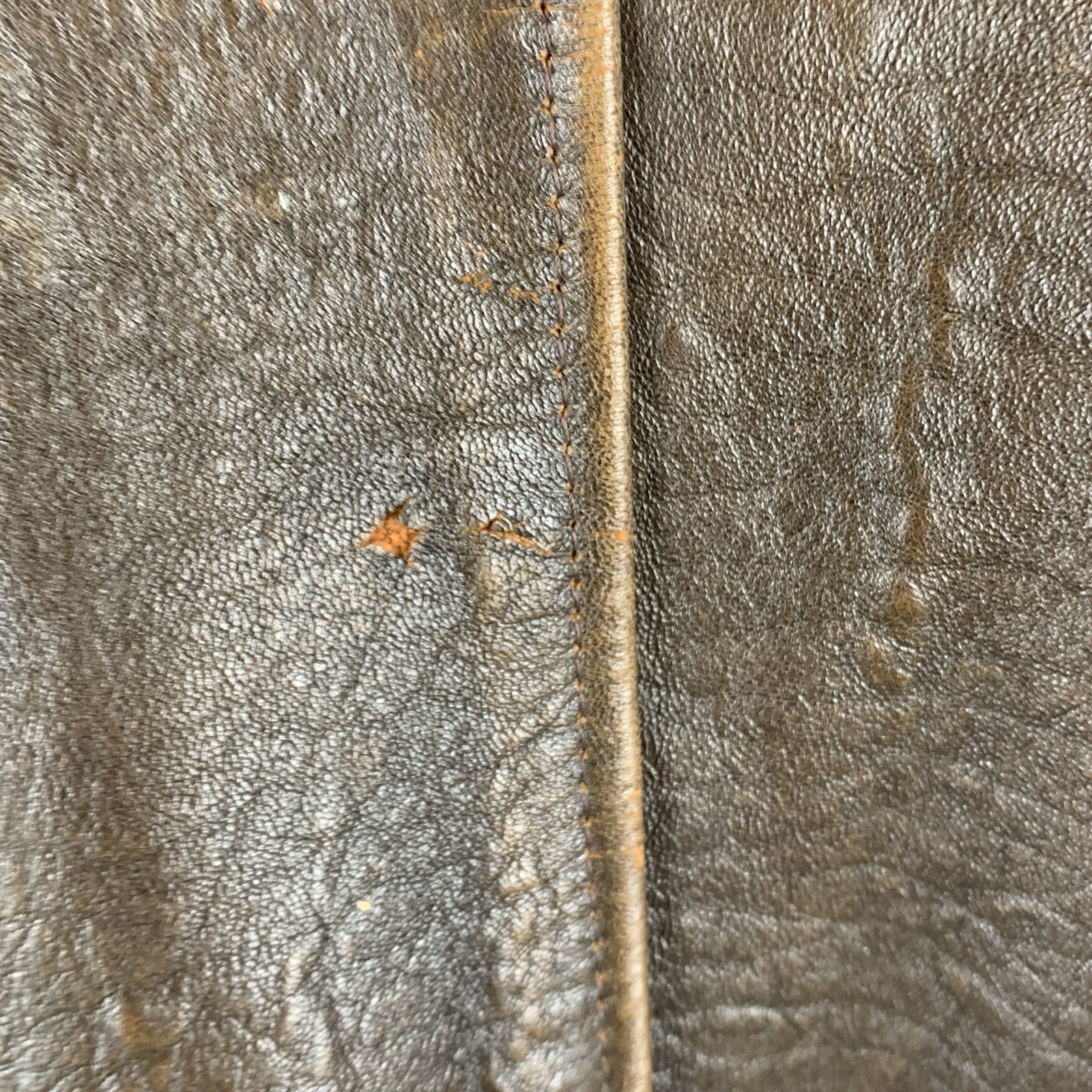 Picture 9 of 19