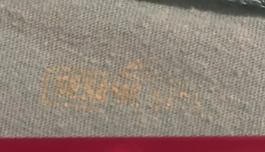 Camiseta Vintage Sesame Street Cookie Monster Mujer XL Manga Larga Azul Claro C1 Foto 3 de 4