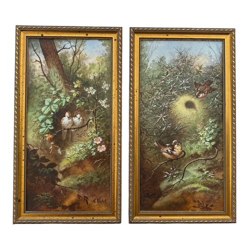 Vintage Pair Of Framed Bird Lithos Sparrow & Wrens Signed C Butot