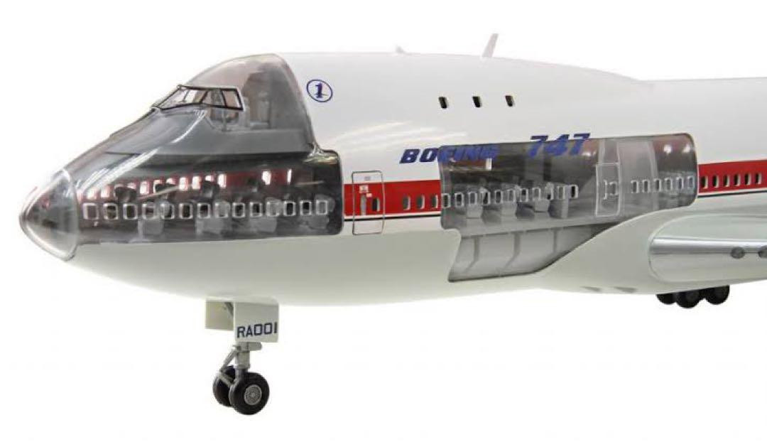 レア　ドラゴン100AirAsia 100機目 A320モデル 1/50スケール レア ドラゴン100AirAsia 100機目 A320モデル 1/50スケール