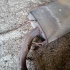 Bild 11 von 12