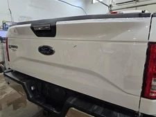 Trunk/Hatch/Tailgate With Rear View Camera Fits 15-17 FORD F150 PICKUP 590535