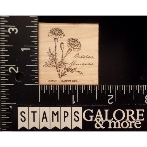 Stampin' Up! Rubber Stamps 2001 FLOWER OF THE MONTH BIRTHDAY OCTOBER MARIGOLD 08