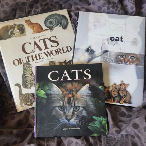 Lot Of 3 Cat Books CATS OF THE WORLD By Eugenia Natoli Sommerville Bessant - Bild 1 von 19