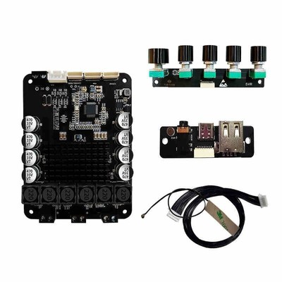 VEX202 DSP5.0 Bluetooth Power Amplifier Board Super Bass Amp Module for TWS