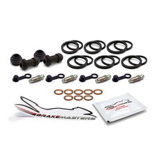 Victory Vision Street 1731/106 2009 front brake caliper service components seals