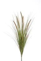 Artplants Unechtes Federborstengras Ywain, Rispen, Beige-GrüN, 70Cm