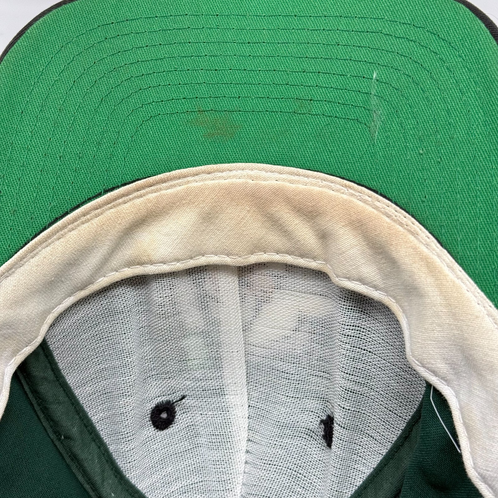 Foto 7 di 8