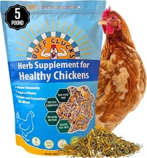5LB Buff Clucks Herb Supplement Backyard Chickens Chicken,Poultry Feed Botanical