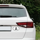 Bild 4 von 6