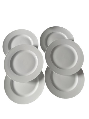 6 Pier 1 Luminous White Porcelain 11” Rimmed Dinner Plates