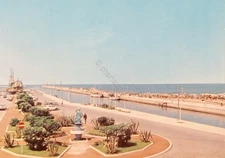 Cartolina - Viareggio - Molo e Giardini - 1966