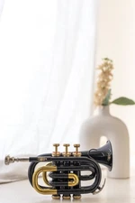 QUEENBRASS Black Pocket Trumpet Bb with Case, Mouthpiece–Compact Brass Kit