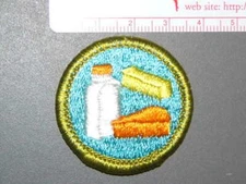 Boy Scout Merit Badge Dairying circa '76-'02 3411N