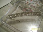 Weiss Vintage Stunning Bracelet Clear Glass Rhinestone 5 Row W/Safety Chain