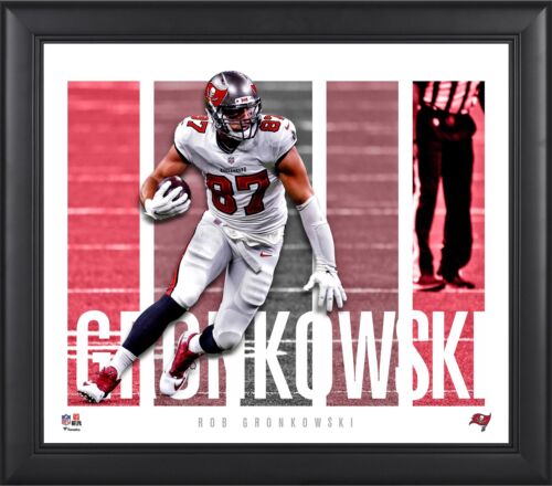 Rob Gronkowski Tampa Bay Buccaneers Framed 15" x 17" Player Panel Collage - Picture 1 of 1