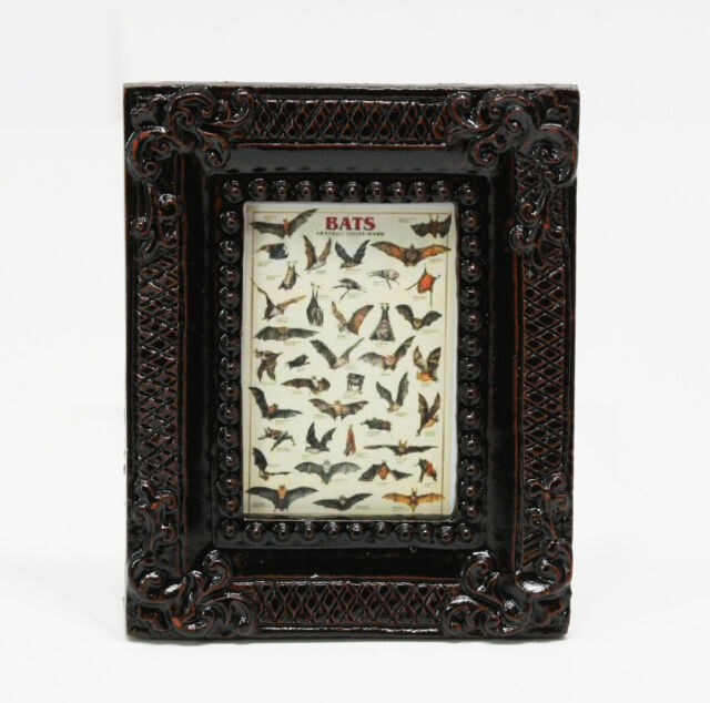 Miniature 1:12 Scale Art Black Framed Print of a Vintage Look Bat Identification