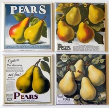 Pears FRIDGE MAGNET Set "style B"