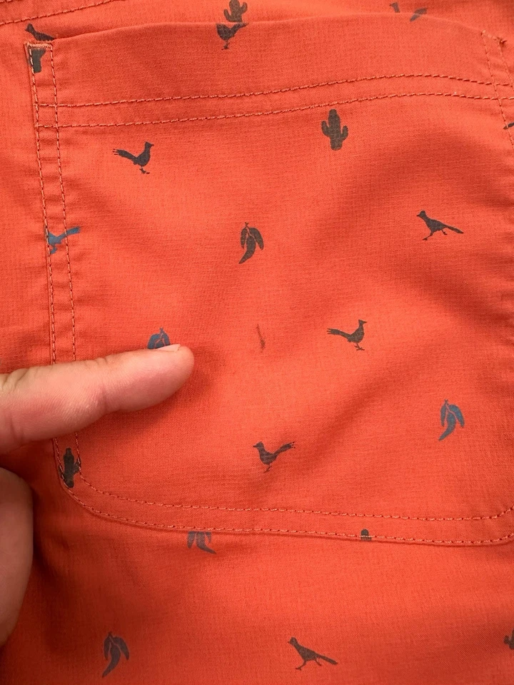 Pantalones Cortos Club Ride Para Hombre Medianos Naranja Pájaro Estampado Cactus Ciclismo Montar en Bicicleta Foto 3 de 4