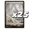 MTG Oath of the Gatewatch Set of 25 Full Art Basic Wastes | 183 A