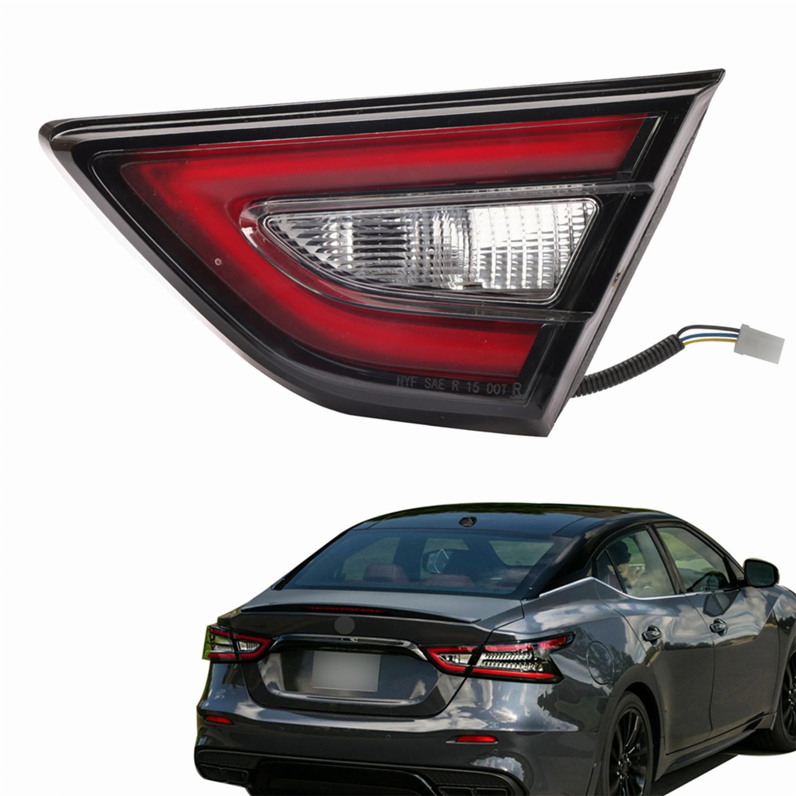 Taillight Replacement for Maxima Passenger Right Side
