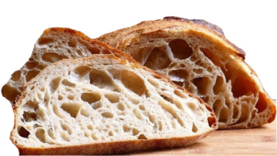 sourdough starter 'the beast' one of a kind very active very sour YEAST NEW