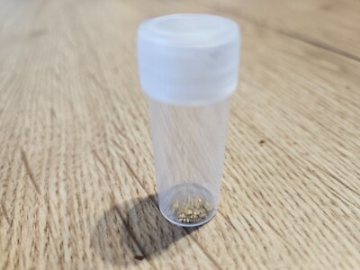 Naturgold, Gold, Rheingold, Gold-Nuggets, aus der ganzen Welt (0,2 Gramm Gold)