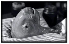 Magnet - Eraserhead Baby David Lynch Cult Movie 1/8 inch Thick Masonite