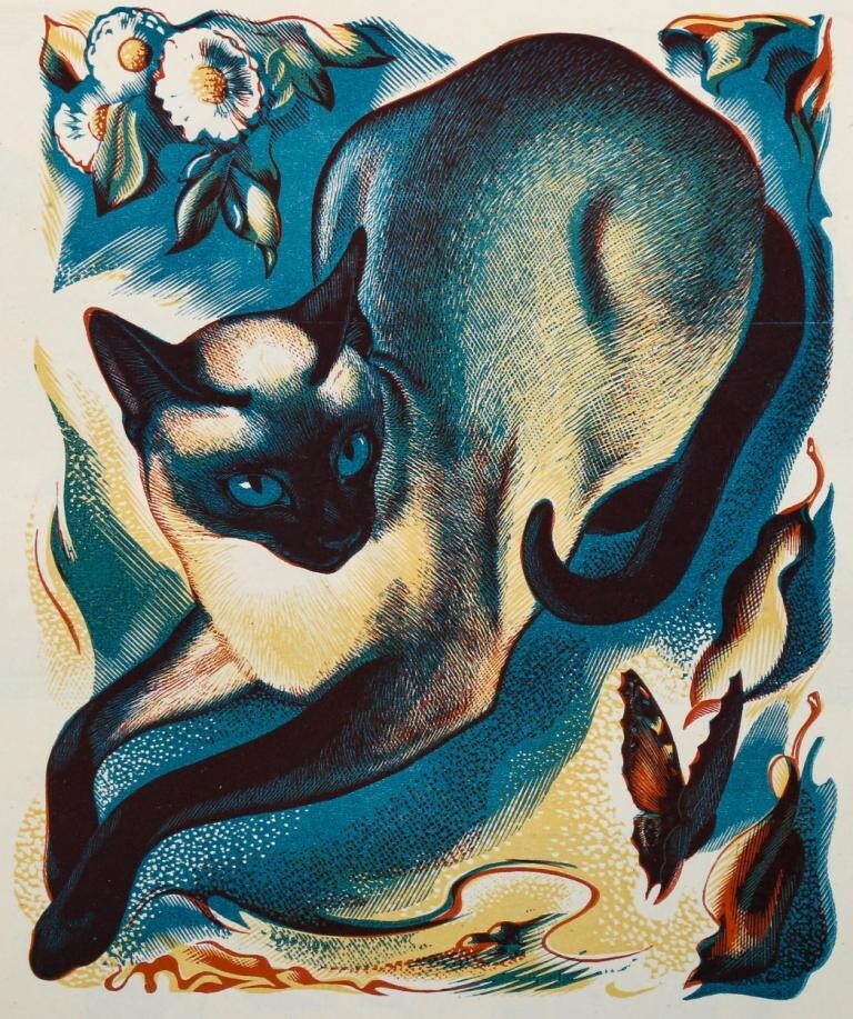 Siamese Cat Agnes Miller Parker 1939 Wood Engraving British