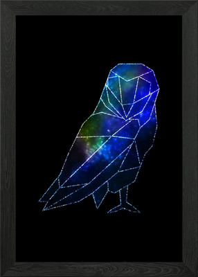 Eule gerahmtes Wandbild Poster Leinwanddruck Bild