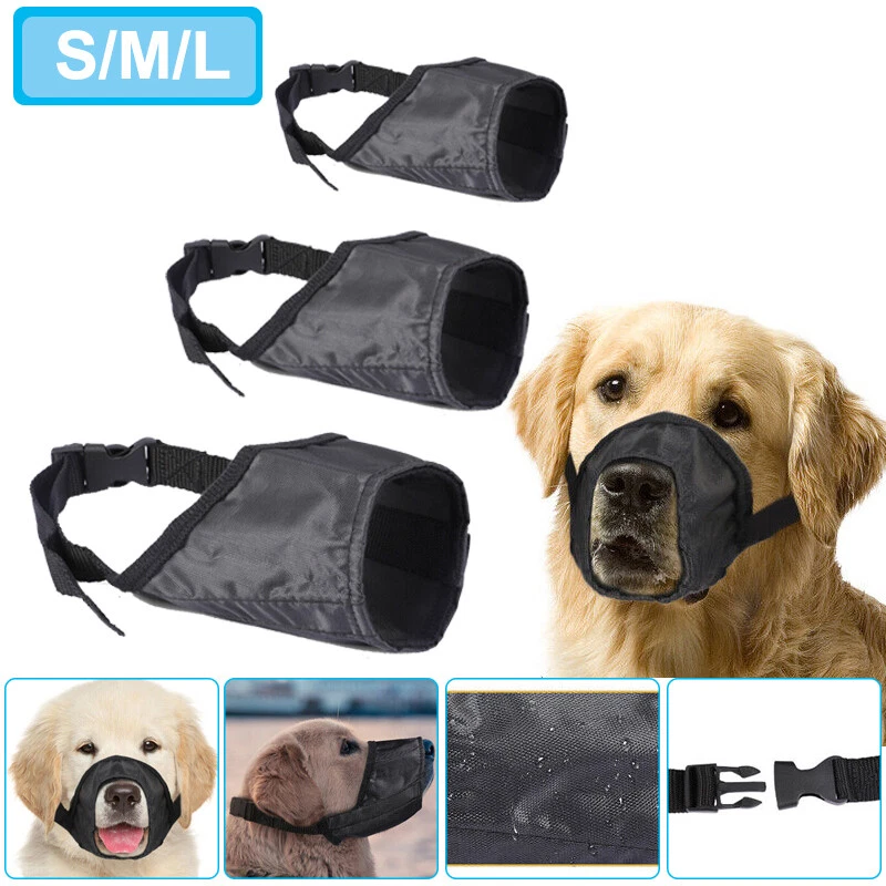Does A Muzzle Stop A Dog From Barking