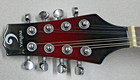 Vangoa 8 String Electric Mandolin VMD40CE-RE Bundle — photo 9