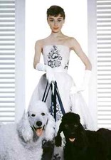 BEAUTIFUL AUDREY HEPBURN 5X7 Photo