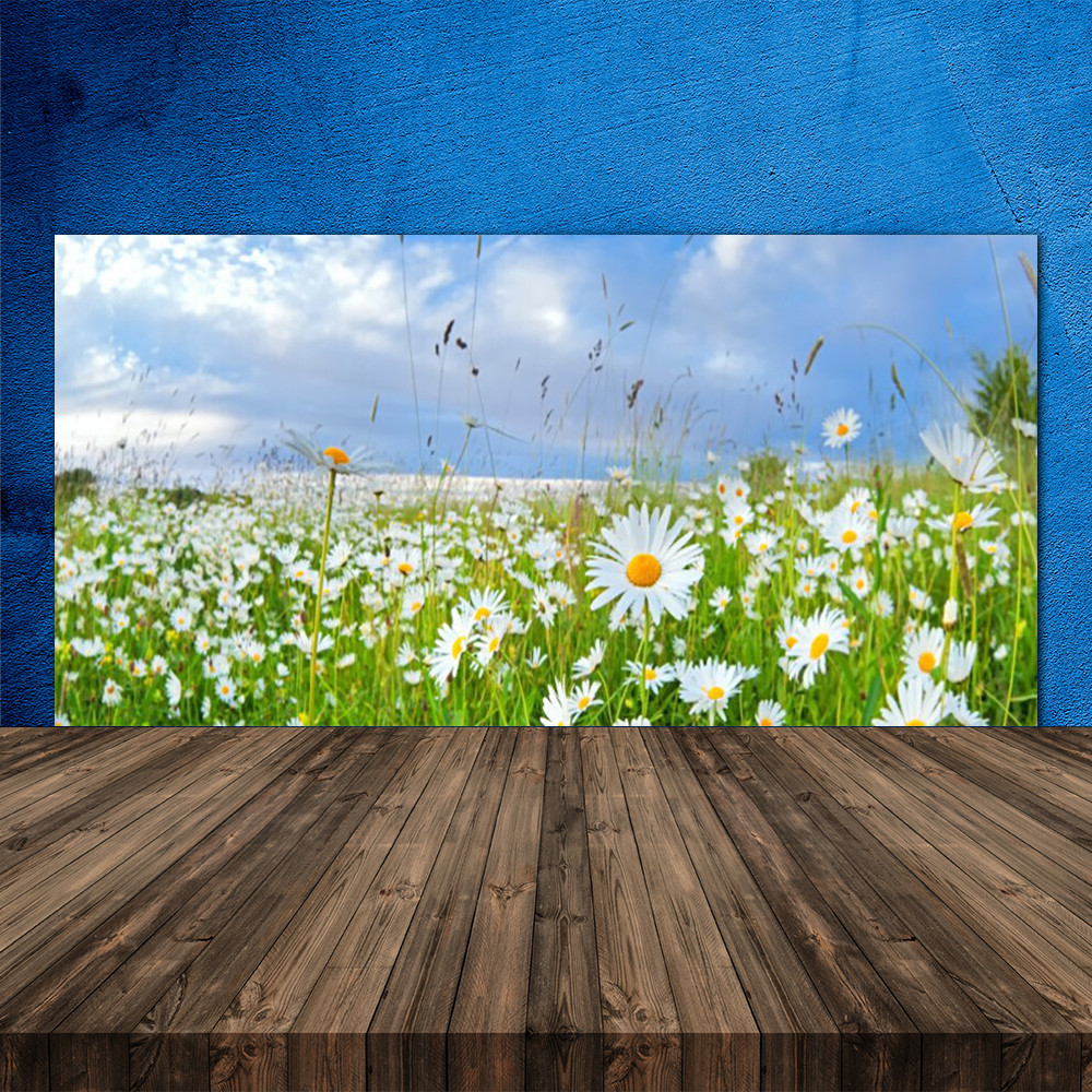 Crédence de cuisine en verre prairie et marguerites pour un style champêtre