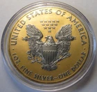 2013 24K Gold & Black Ruthenium AMERICAN SILVER EAGLE ~Enhanced on Both Sides~
