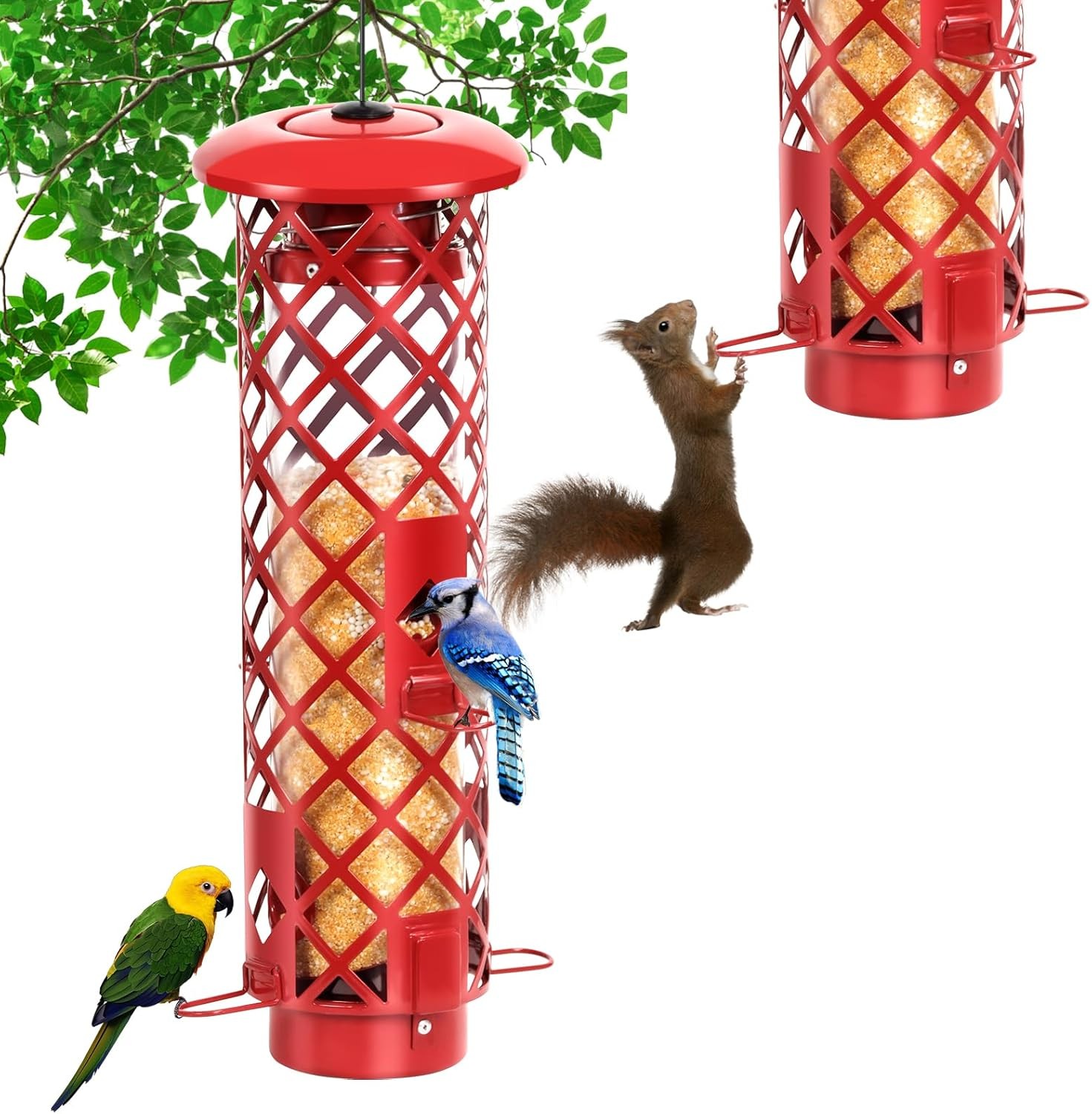 Squirrel Proof Gravity Protection- Blue Jay Metal Bird Feede