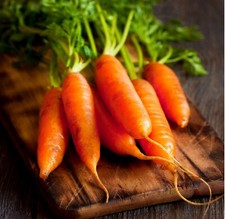 Little Fingers Carrot Seeds HEIRLOOM, NON-GMO, Fresh  Fun Little Carrots