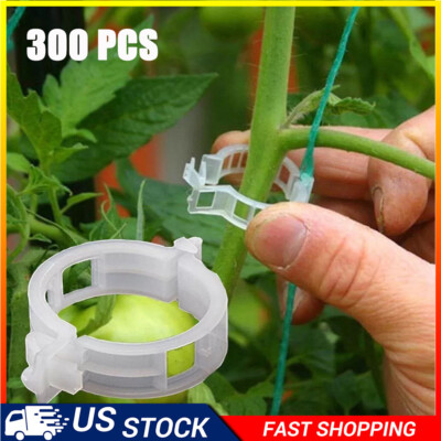 #ad 300Pcs Plant Support Clips Tomato Veggie Garden For Trellis Twine Greenhouse $10.99