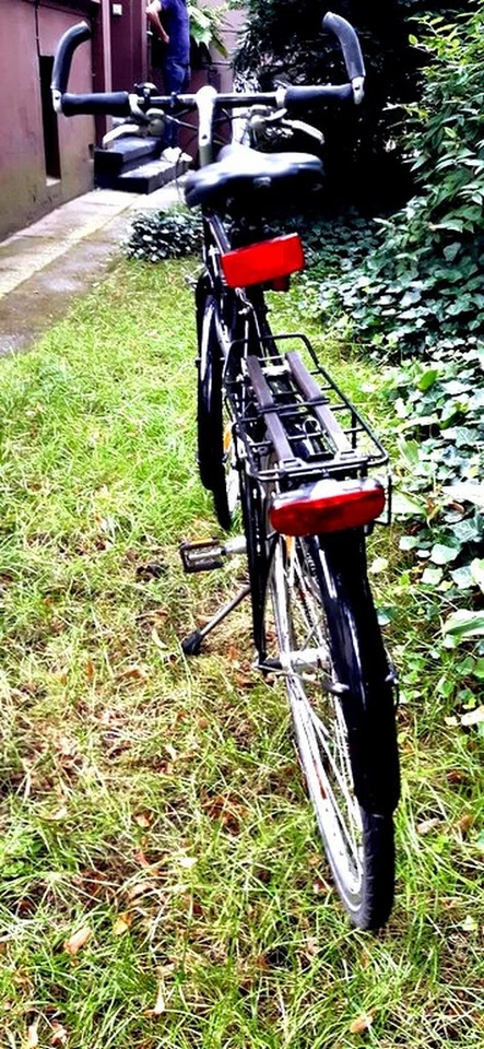 Herrenfahrrad UNIVEGA Via Montega Citybike.   Das"Spitfire" unter den Fahrrädern - Bild 4 von 4