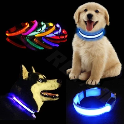 LED Dog Pet Collar USB Rechargeable Flashing Luminous Safety Night Light Up - Image 1 of 4