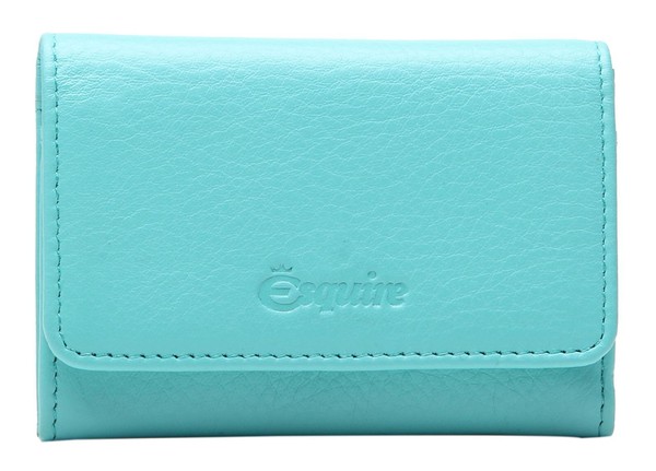 Esquire Peru Wallet GeldböRse TüRkis TüRkis Neu-image