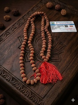 8 Mukhi Rudraksha Mala 108+1 Perlen - Natürliche Rudraksh Jaap Mala - Laborzertifiziert